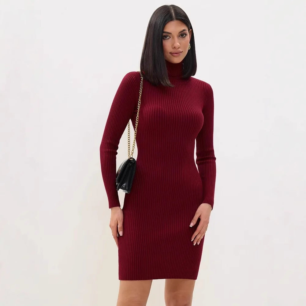 Women's Christmas Party Outfit Ribbed Mini Dress | High Neck