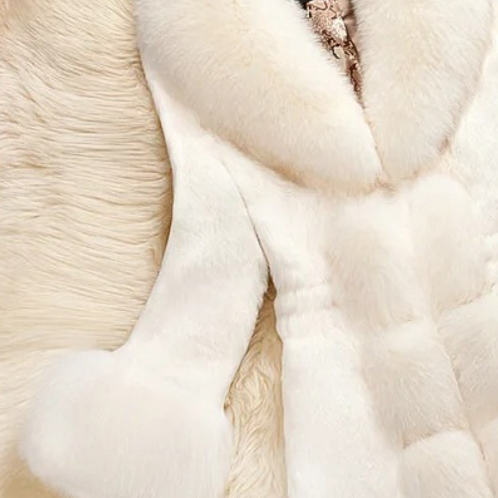 Women's Fur Coat Long Fluffy | Winter