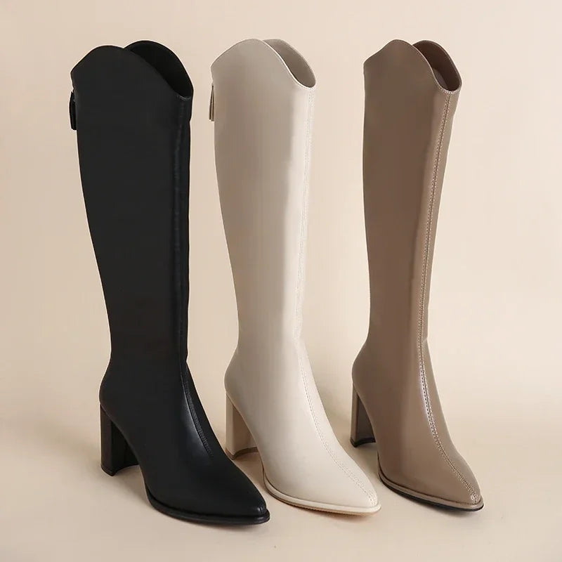 Women's Knee High Boots With Back Zip | Platform Heel